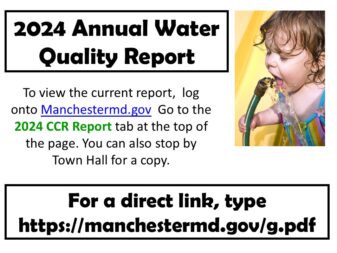 CCR report2024