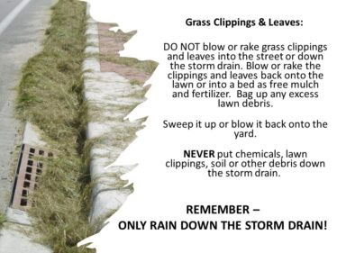 GRASS CLIPPINGS AND STORM DRAINS 6-28-23