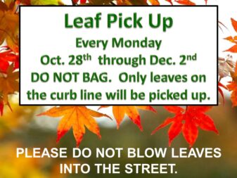 leaf pick up 2024