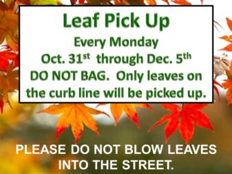 leaf pick up