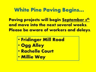 white pine small