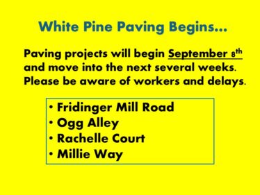 white pine small