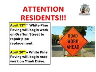 whitepine - small whitepine - small